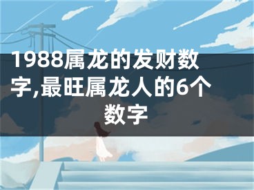 1988属龙的发财数字,最旺属龙人的6个数字