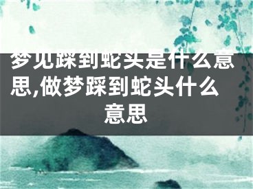 梦见踩到蛇头是什么意思,做梦踩到蛇头什么意思