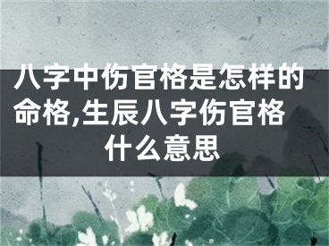 八字中伤官格是怎样的命格,生辰八字伤官格什么意思