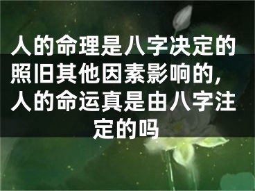 人的命理是八字决定的照旧其他因素影响的,人的命运真是由八字注定的吗