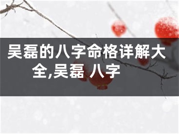 吴磊的八字命格详解大全,吴磊 八字