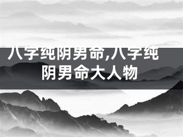 八字纯阴男命,八字纯阴男命大人物