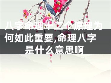 八字命理十二个原理为何如此重要,命理八字是什么意思啊