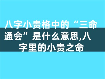 八字小贵格中的“三命通会”是什么意思,八字里的小贵之命