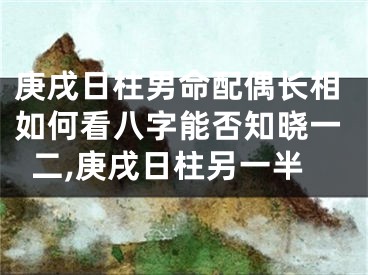 庚戌日柱男命配偶长相如何看八字能否知晓一二,庚戌日柱另一半
