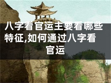 八字看官运主要看哪些特征,如何通过八字看官运