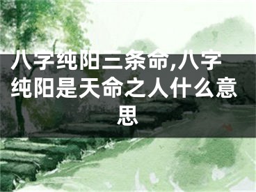 八字纯阳三条命,八字纯阳是天命之人什么意思