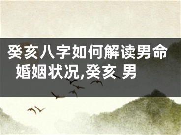 癸亥八字如何解读男命婚姻状况,癸亥 男