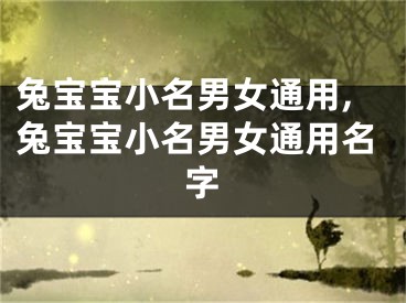 兔宝宝小名男女通用,兔宝宝小名男女通用名字