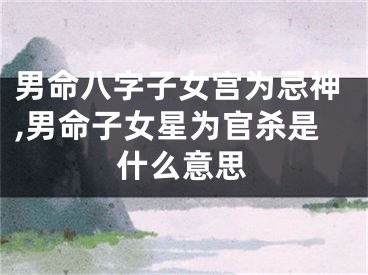 男命八字子女宫为忌神,男命子女星为官杀是什么意思
