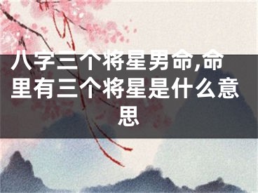 八字三个将星男命,命里有三个将星是什么意思