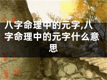 八字命理中的元字,八字命理中的元字什么意思