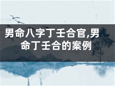 男命八字丁壬合官,男命丁壬合的案例