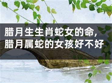 腊月生生肖蛇女的命,腊月属蛇的女孩好不好