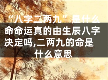 “八字二两九”是什么命命运真的由生辰八字决定吗,二两九的命是什么意思