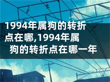 1994年属狗的转折点在哪,1994年属狗的转折点在哪一年