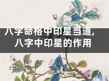 八字命格中印星当道,八字中印星的作用