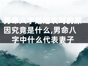 男命八字婚姻坎坷的原因究竟是什么,男命八字中什么代表妻子