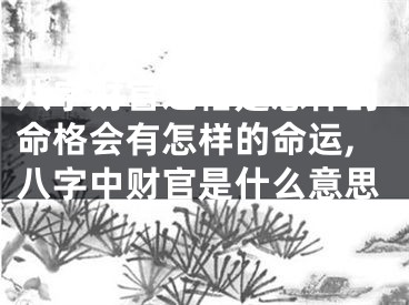 八字财官之格是怎样的命格会有怎样的命运,八字中财官是什么意思
