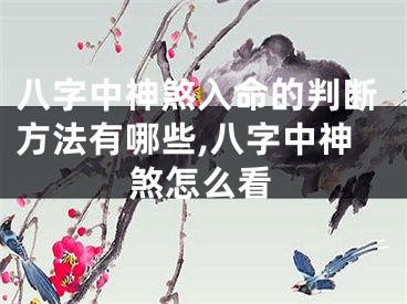 八字中神煞入命的判断方法有哪些,八字中神煞怎么看