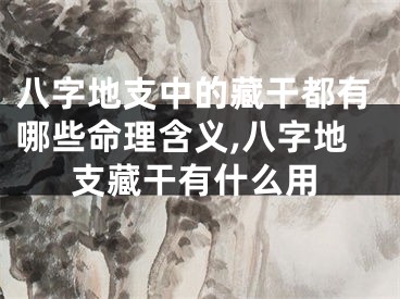 八字地支中的藏干都有哪些命理含义,八字地支藏干有什么用