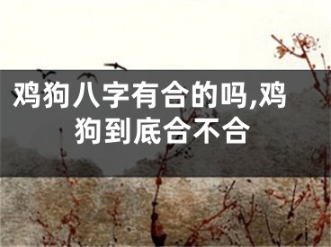 鸡狗八字有合的吗,鸡狗到底合不合