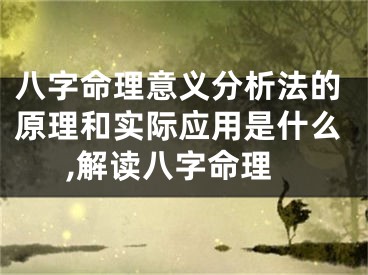 八字命理意义分析法的原理和实际应用是什么,解读八字命理