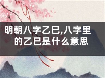 明朝八字乙巳,八字里的乙巳是什么意思