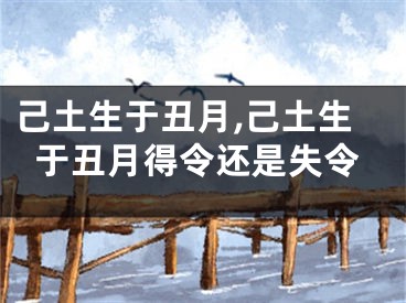 己土生于丑月,己土生于丑月得令还是失令