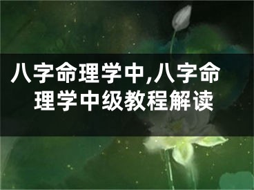 八字命理学中,八字命理学中级教程解读
