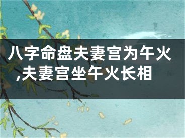 八字命盘夫妻宫为午火,夫妻宫坐午火长相