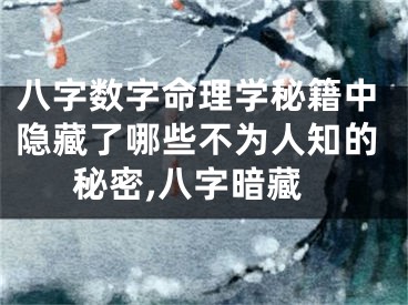 八字数字命理学秘籍中隐藏了哪些不为人知的秘密,八字暗藏
