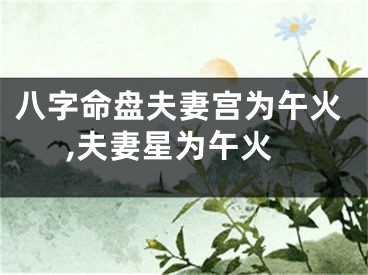 八字命盘夫妻宫为午火,夫妻星为午火