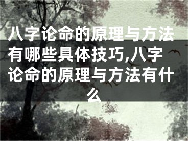 八字论命的原理与方法有哪些具体技巧,八字论命的原理与方法有什么