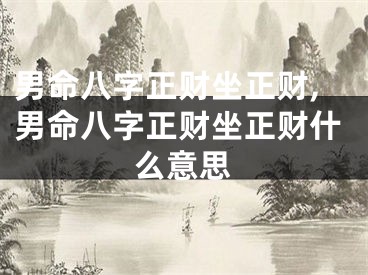 男命八字正财坐正财,男命八字正财坐正财什么意思