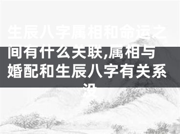 生辰八字属相和命运之间有什么关联,属相与婚配和生辰八字有关系没