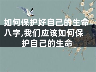 如何保护好自己的生命八字,我们应该如何保护自己的生命