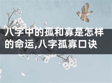 八字中的孤和寡是怎样的命运,八字孤寡口诀