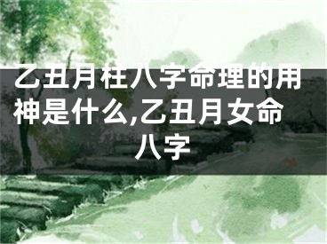 乙丑月柱八字命理的用神是什么,乙丑月女命八字