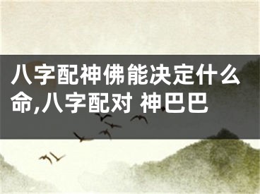 八字配神佛能决定什么命,八字配对 神巴巴