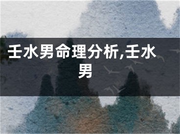 壬水男命理分析,壬水 男