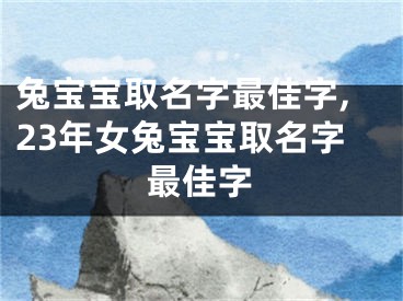 兔宝宝取名字最佳字,23年女兔宝宝取名字最佳字