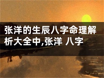 张洋的生辰八字命理解析大全中,张洋 八字