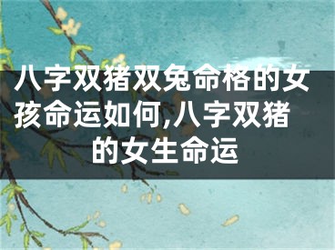 八字双猪双兔命格的女孩命运如何,八字双猪的女生命运