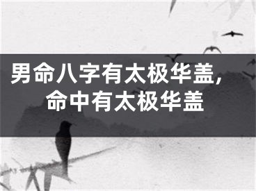 男命八字有太极华盖,命中有太极华盖