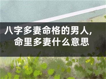 八字多妻命格的男人,命里多妻什么意思