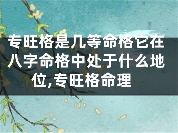 专旺格是几等命格它在八字命格中处于什么地位,专旺格命理