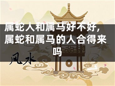 属蛇人和属马好不好,属蛇和属马的人合得来吗
