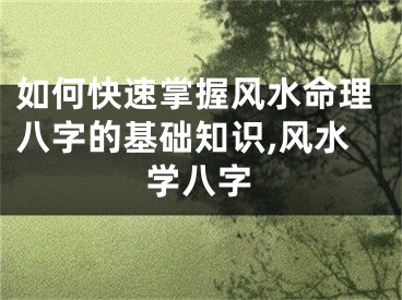 如何快速掌握风水命理八字的基础知识,风水学八字