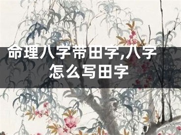 命理八字带田字,八字怎么写田字